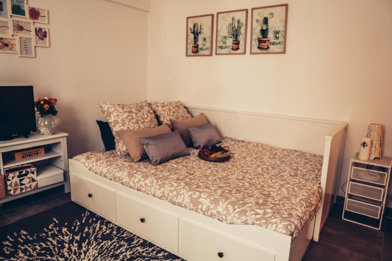 Magnifique Studio Centre Ville - Spacieux Climatisation Calme Rare Pas De Parking Prive Stationnement Gratuit Dans La Rue Apartment *