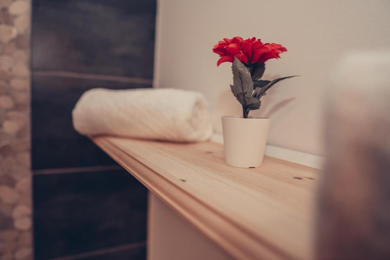 Apartment Magnifique Studio Centre Ville - Spacieux Climatisation Calme Rare Pas De Parking Prive Stationnement Gratuit Dans La Rue